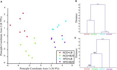Regulated Inflammation and Lipid Metabolism in Colon mRNA Expressions of Obese <mark class="highlighted">Germfree Mice</mark> Responding to Enterobacter cloacae B29 Combined with the High Fat Diet